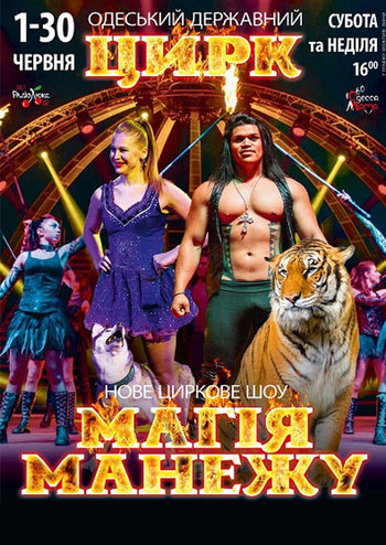 Магія манежу