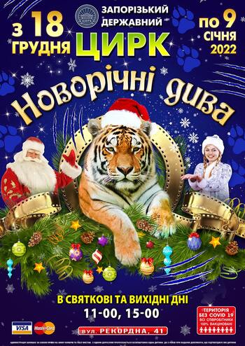 Новорічні дива