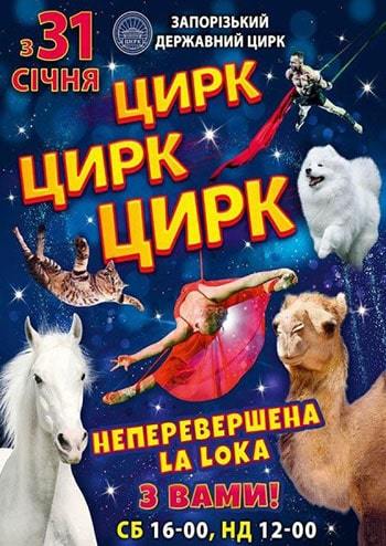 Цирк Цирк Цирк 
